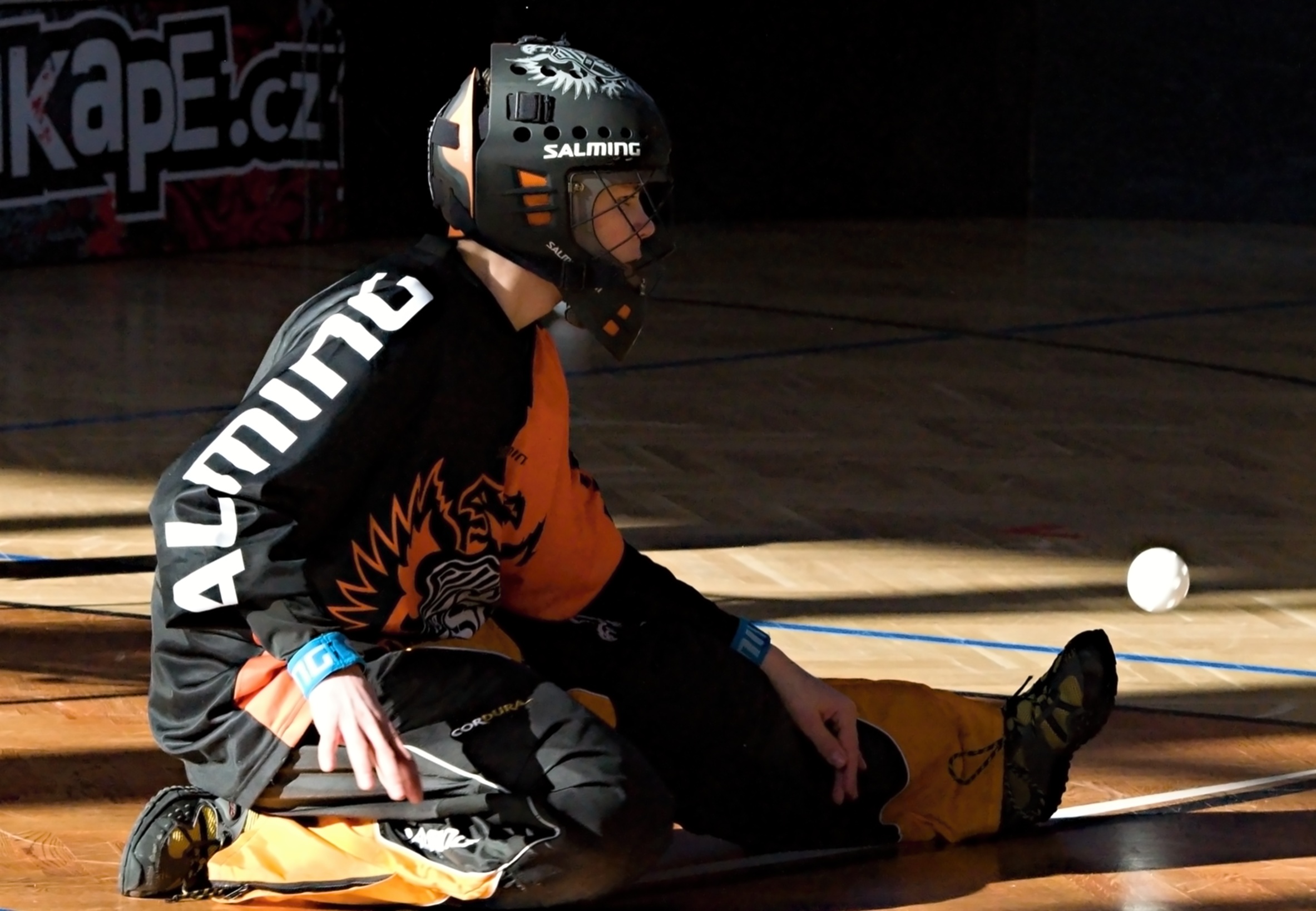 Strži v PE 13.4.2013 (2